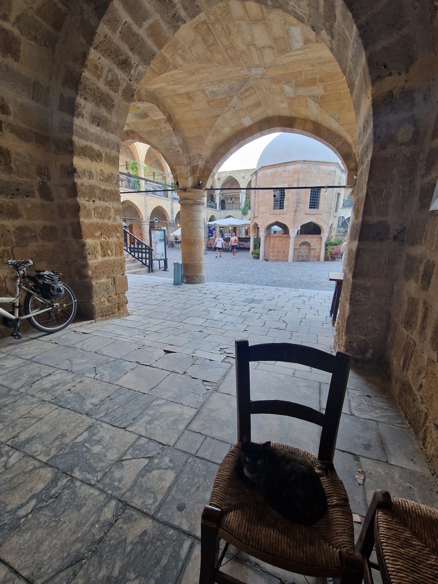 Rita Locatelli (@locatellirita) on Twitter photo I have just come back from very special days at #ECER2024 in Cyprus. It was fantastic to share this experience with Catherine Montgomery <a href="/cmontgo84143270/">Catherine Montgomery</a> and to have the opportunity to engage with colleagues and friends! I have just come back from very special days at #ECER2024 in Cyprus. It was fantastic to share this experience with Catherine Montgomery <a href="/cmontgo84143270/">Catherine Montgomery</a> and to have the opportunity to engage with colleagues and friends!