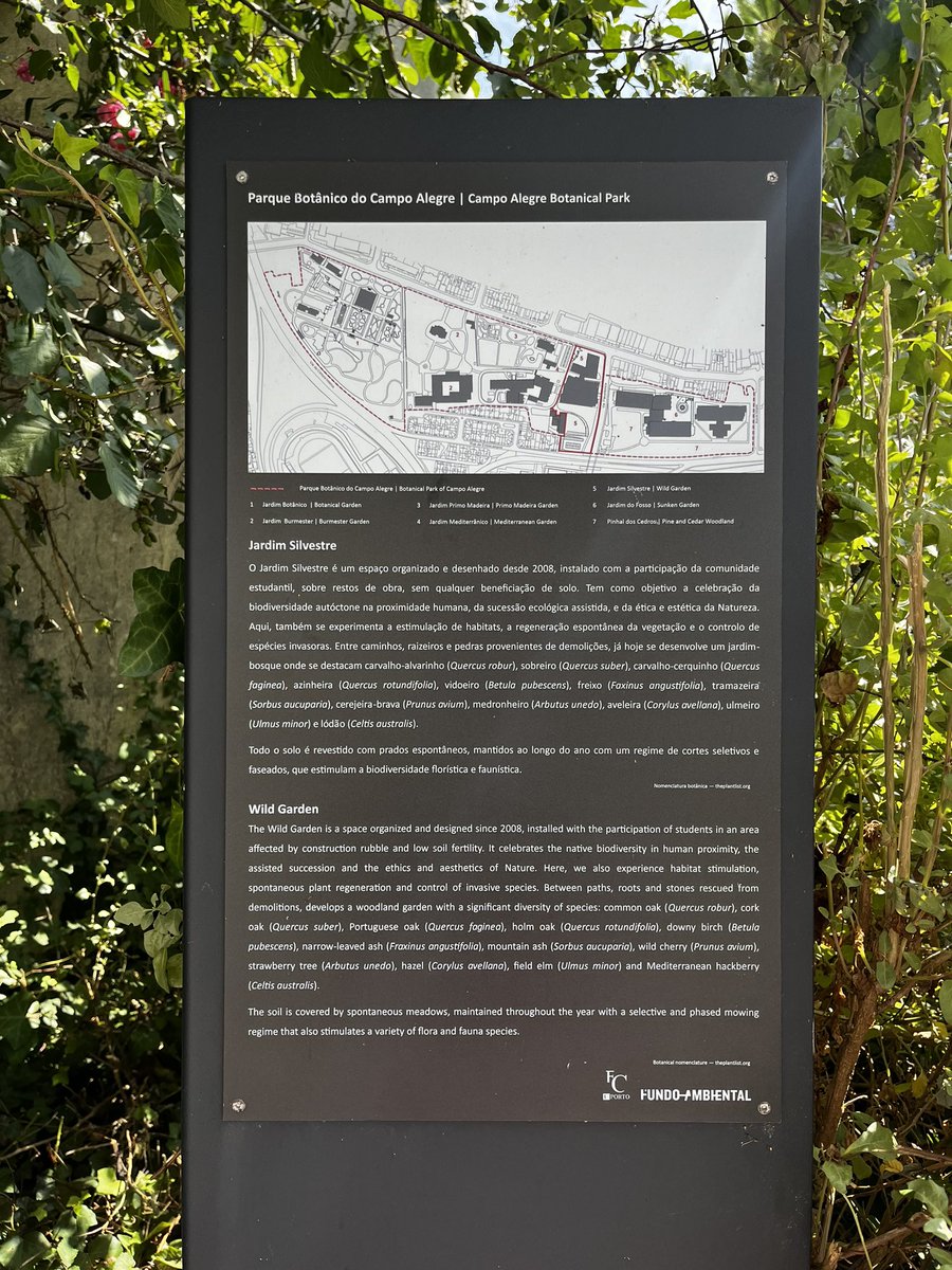 eco_passion's tweet photo. In 2016 we started a Widening Interdisciplinary Sustainability Education project across Eu. We planted a tree in the Wild Garden at @UPorto and this year I had a chance to visit this place again. It changed a lot and I hardly could find Our Tree @CollegiumC @ChangesInFocus #Green https://t.co/9MNSVAn7yj
