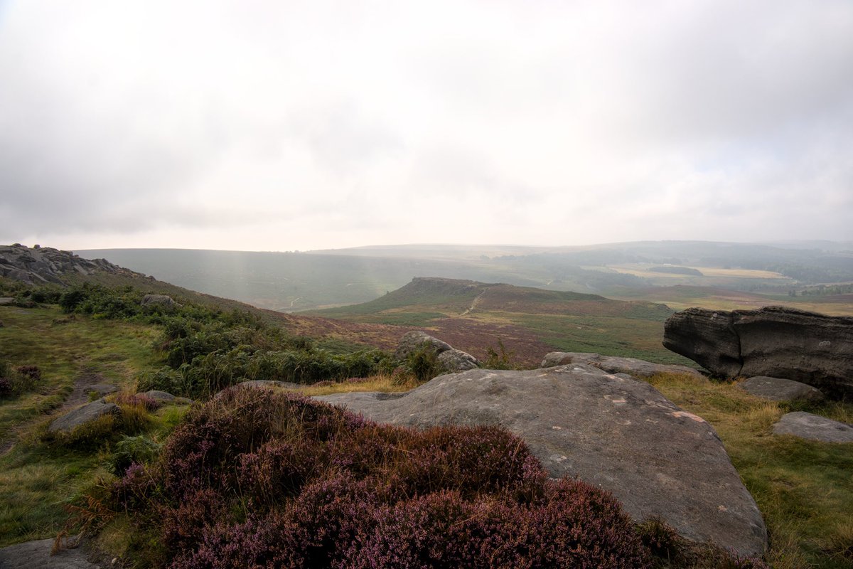 abdalla8338's tweet image. View from Higger Tor looking towards Carl Wark.
From yesterday lovely walk up to Higger Tor.

#HiggerTor #HiggerRocks #HeatherSeason #Peakdistrict