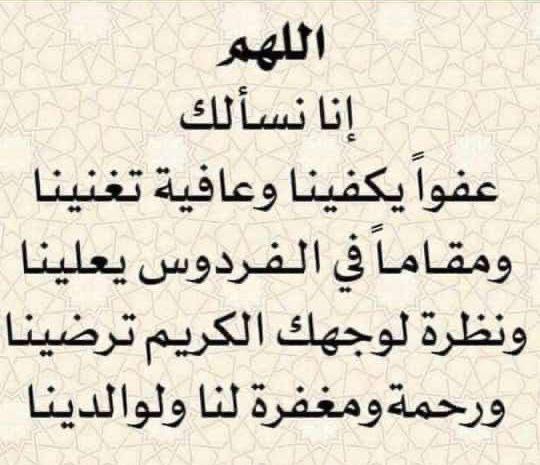 طامي معيض البقمي 🇸🇦 tweet media