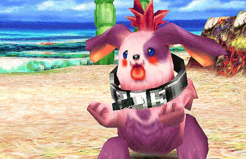 Cute Critter Of The Day tweet media