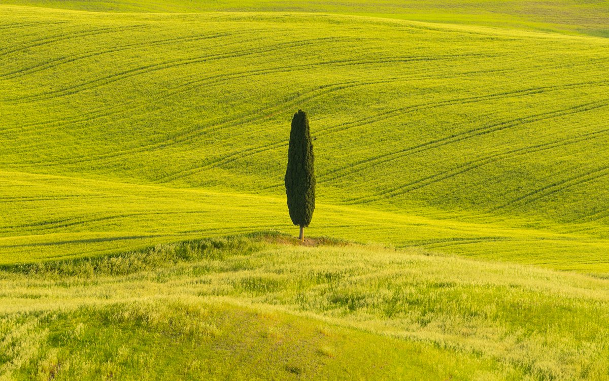 Memories from Tuscany