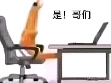 要离学定性测试即将开始