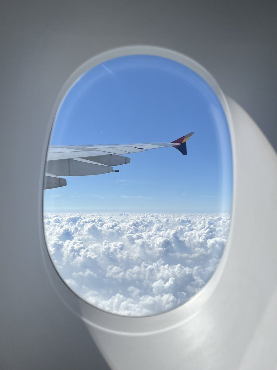 가자 요크신 시티로 ✈️