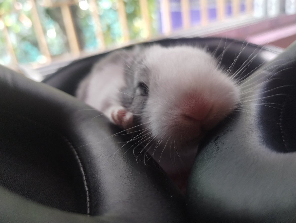 My buddy is listening to music.