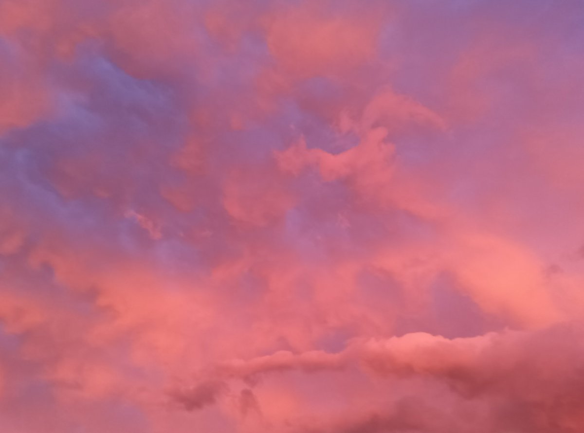 FalconarrowP's tweet photo. 昨日の
#夕焼け https://t.co/MoaZzVivPs