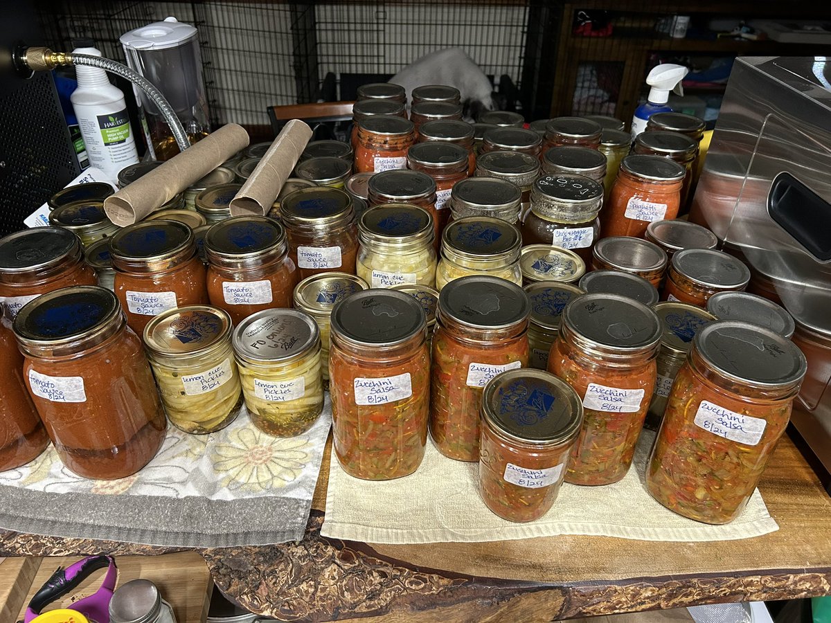 JustAmyMcC's tweet photo. Last day of #EveryBitCountsChallenge 
#Homesteading4Sovereignty

Zucchini salsa and more pickles. 

This was a great challenge and will help feed my family throughout the winter. I learned so much from you all through this too. I was able to use the tomato skins and make tomato powder. Dehydrated kale and Swiss chard to make a green powder to add to soups and such. Freeze dried milk and many fruits. 

This tribe is truly amazing. I truly can’t thank you all enough. Many blessings 🇺🇸🙏🏼🇺🇸