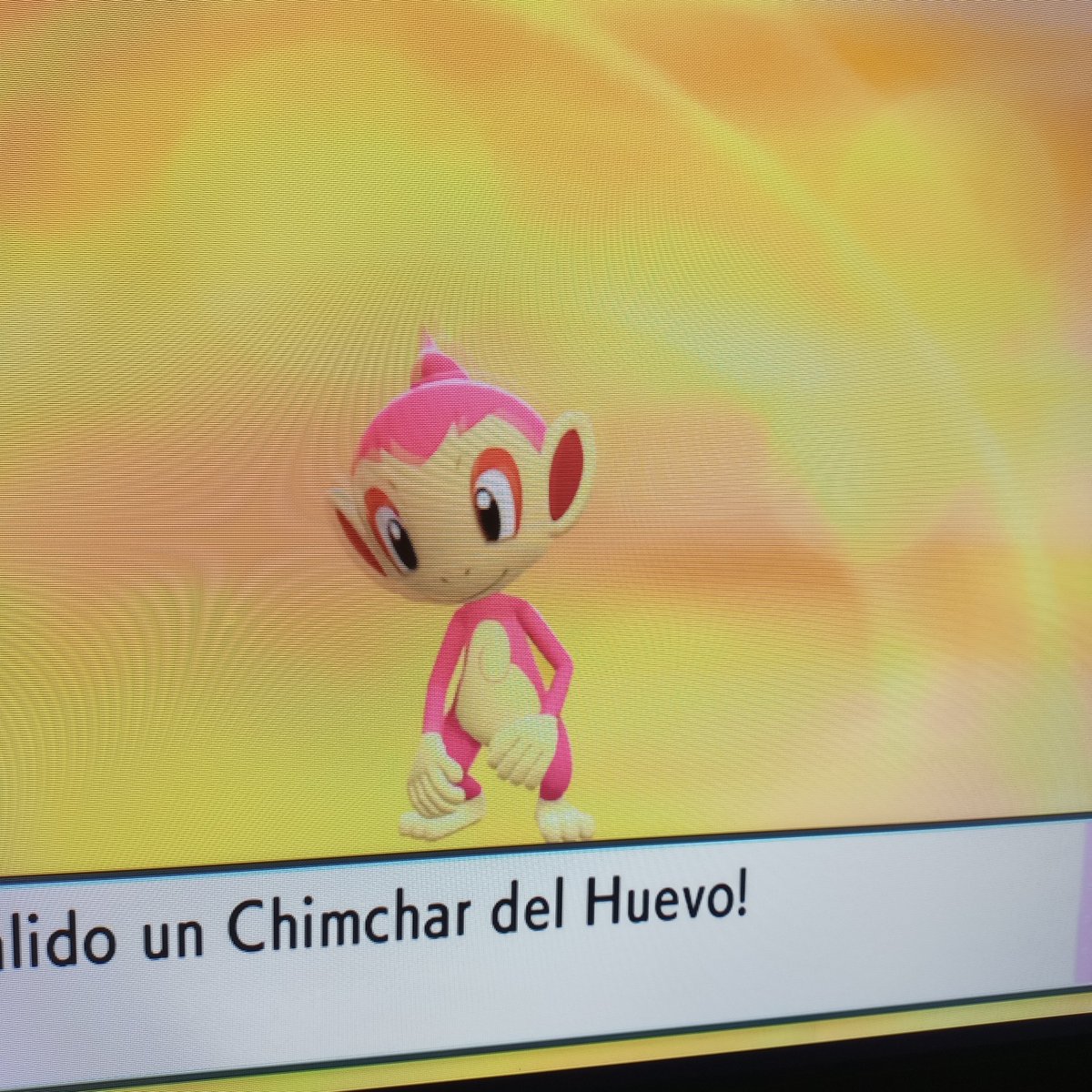 Is4dPk's tweet photo. Ya solo me falta la tortuguitaaaaa
Piplup fueron casi 800, y Chimchar al rededor de unas 45 cajas https://t.co/pppKsKzqf4