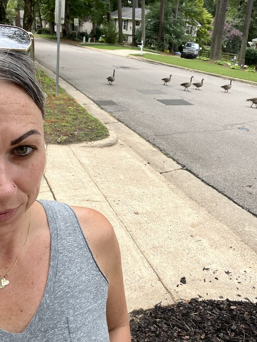 Some friends joined me on my walk today 🪿