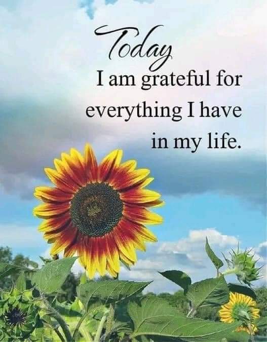 Touseef Gorgeous tweet media