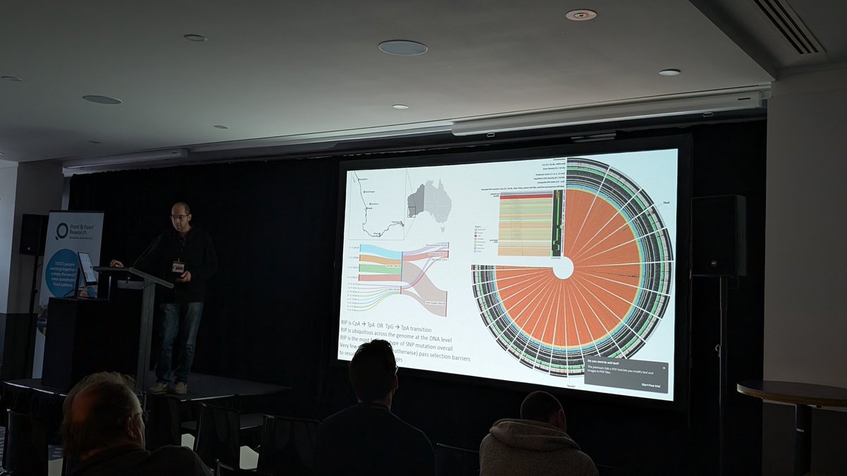<a href="/JamesKHane/">James Hane</a> of <a href="/theCCDM/">CCDM</a> discussing pan genomics of the Australian Parastagonospora nodorum population #QRW2024