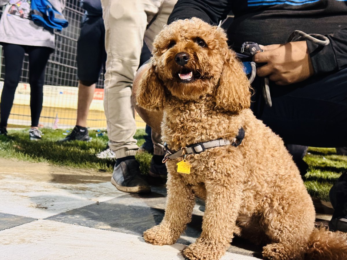 Gus is all smiles watching dad win. 😄