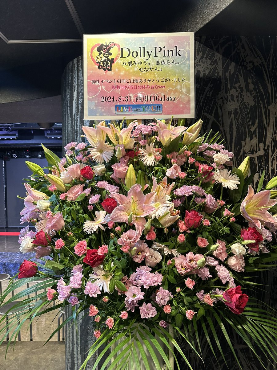 DollyPink(公式)🎀 tweet media
