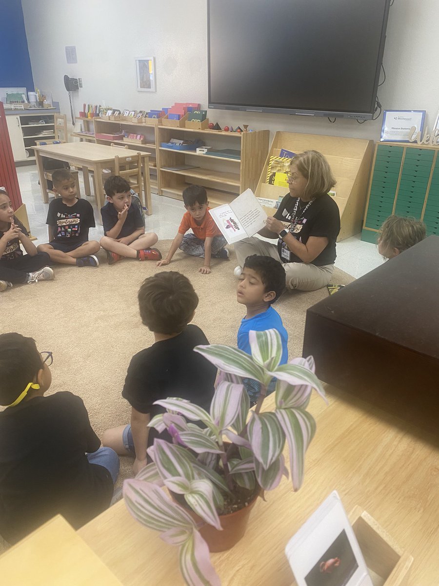 Isabel Justo tweet media