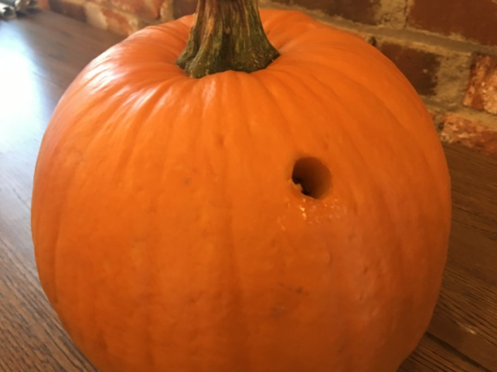 Looking forward to Halloween? It's pumpkin season.