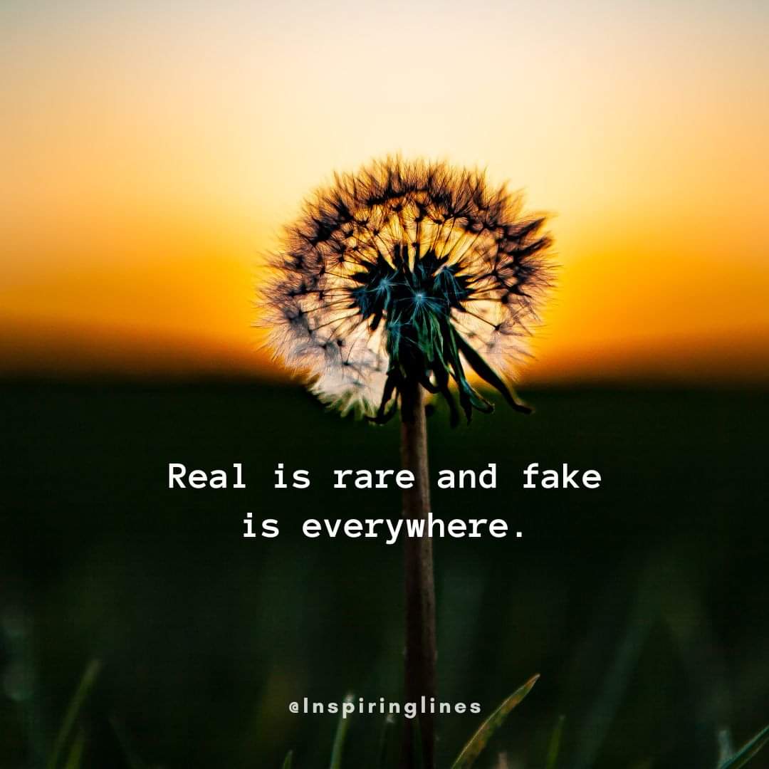 Good Morning🥱🥱