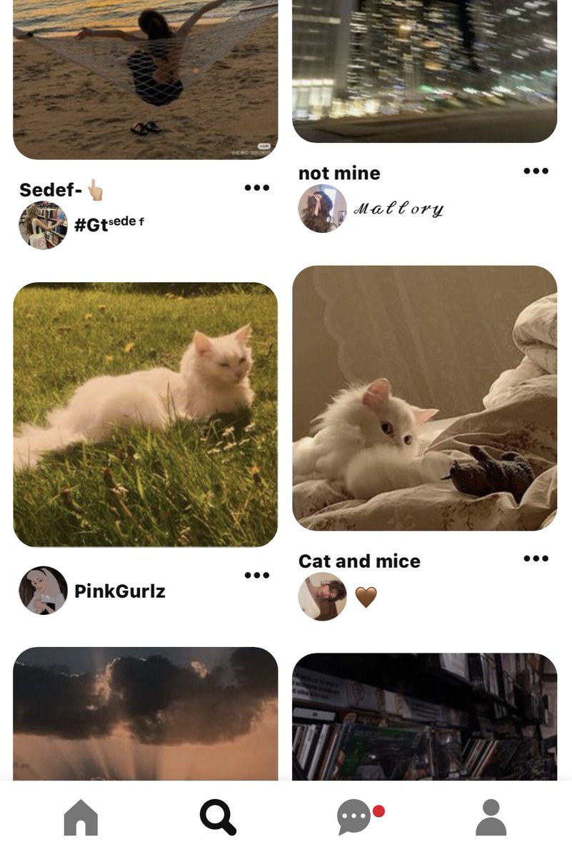 CatPurpple's tweet photo. @tanyarlfes aku suka kucing pas bgt munculnya byk kucing😸 https://t.co/dJGGSgtzKt
