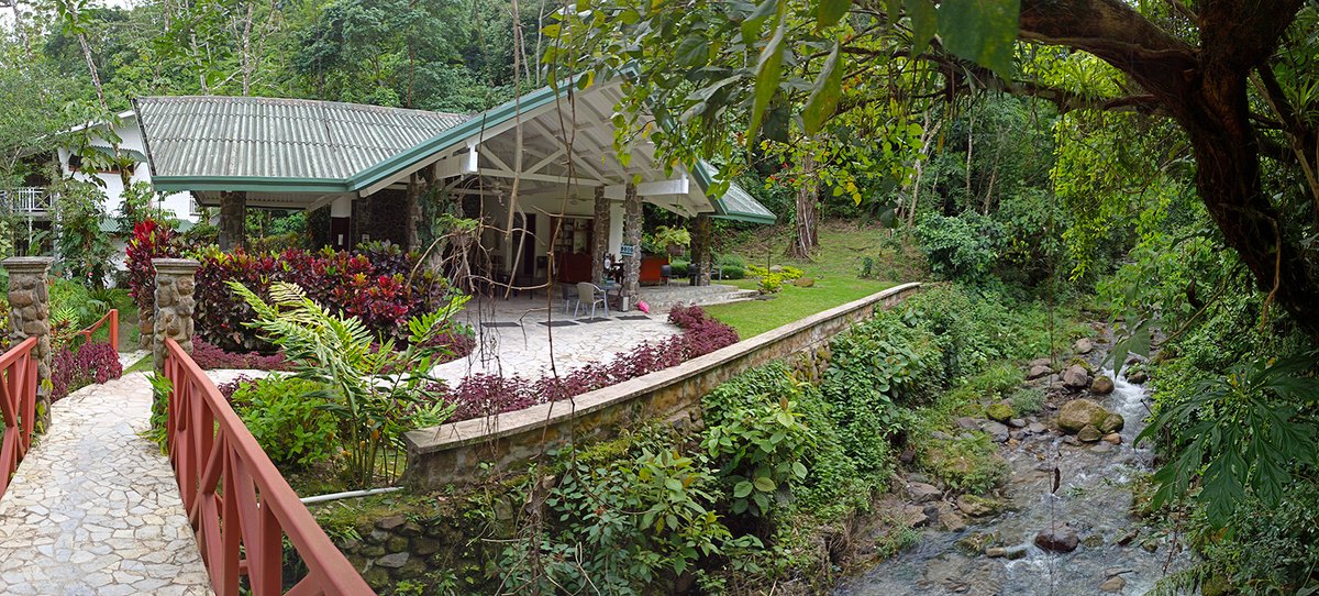 albicilla66's tweet photo. #Birding #Panama 🇵🇦 350sp/2weeks: #CanopyLodge cloud forest of the #ElValledeAntón mountain valley; #CanopyTower, ex-US radar base, rainforest & cloud forest, #SoberaniaNationalPark; #CanopyCamp's safari tents in lowland rainforest of #DariénNationalPark; Dec-Apr (#Darién in Apr) https://t.co/Fnijly9QKR