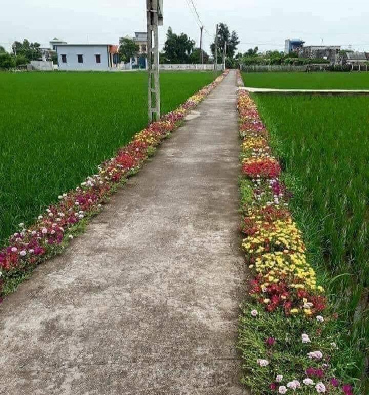 manishparihar85's tweet photo. क्या आप को अपने गाँव के प्रति येसा विचार कभी आया? 
कमेंट कर बतायें और अगर येसा कुछ है तो हमारे साथ शेयर जरुर करें। https://t.co/dSUfl3Sesz