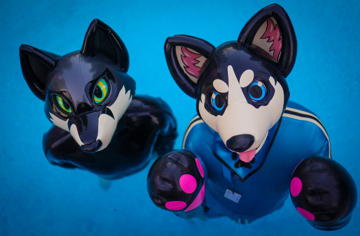 <a href="/sockfox/">sock</a> &amp; <a href="/PupTayo/">Bsky: Tayoad</a> being goody boys in the pool :3