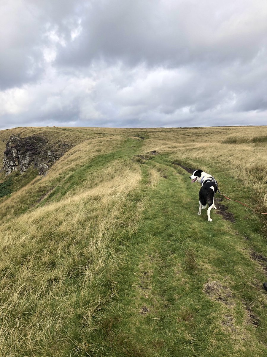 Red__Atts's tweet image. Last day of holiday …come on human!
Need to keep this momentum into Sept ..
