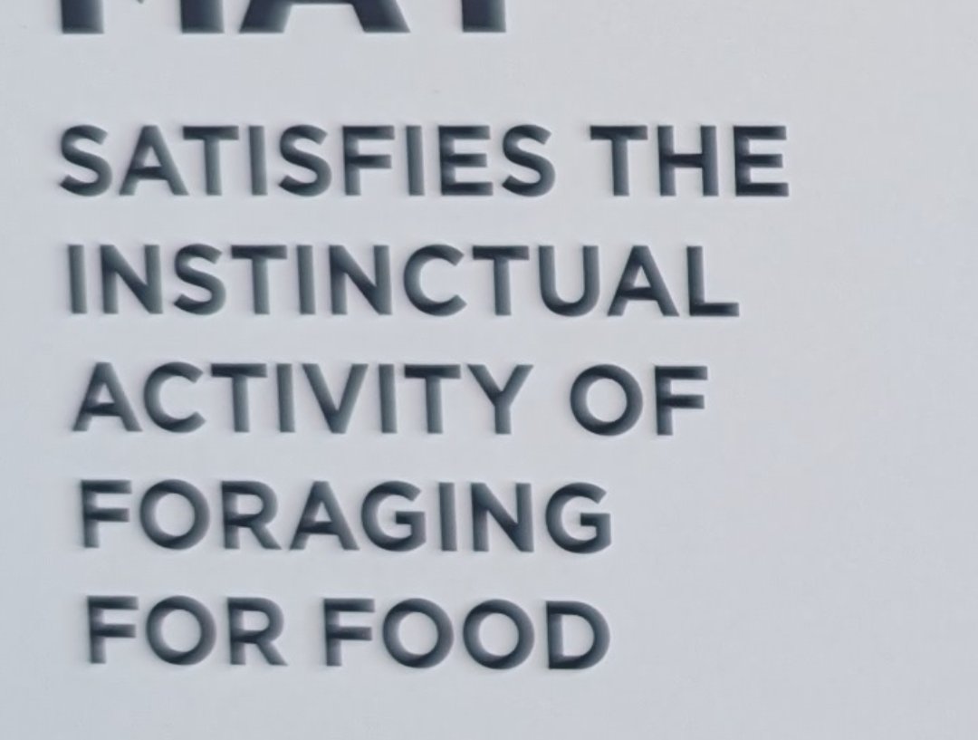 CharlesWagen's tweet image. I use one of these so i have to work harder for my food #hustlemindset #grind