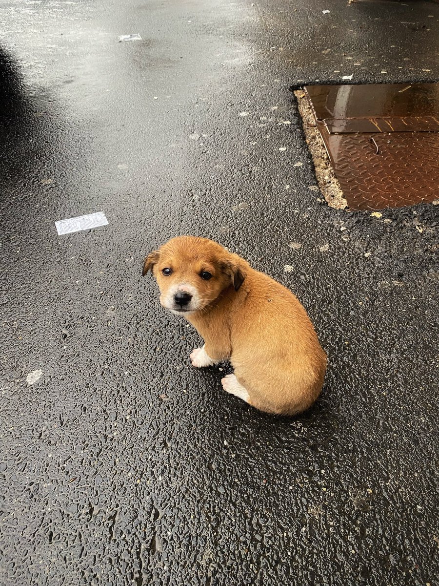 Şunu isteyerek ve gözünü kırpmadan öldürebilen bir insan herkesi, her şeyi rahatlıkla öldürebilir. Türk Ceza Kanunu değişmeli!