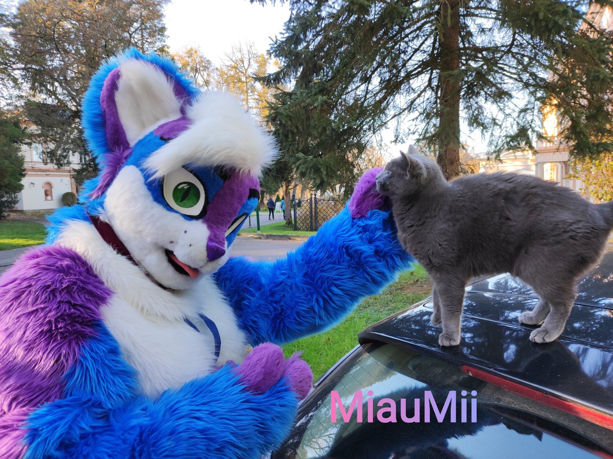 Miau.
Schönen Wetter im Park Bad hall.
Wie ich es sehe, bin ich interessant auch für andere Katzen.

#furry #furryart #fursuit #katze #badhall #kurpar