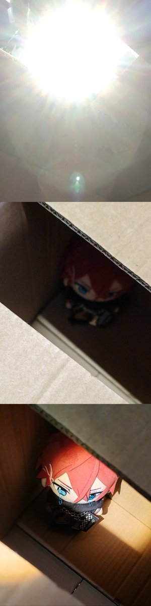 Riko4398's tweet photo. #燐ニキ 📦 https://t.co/x2YLvuxC1n