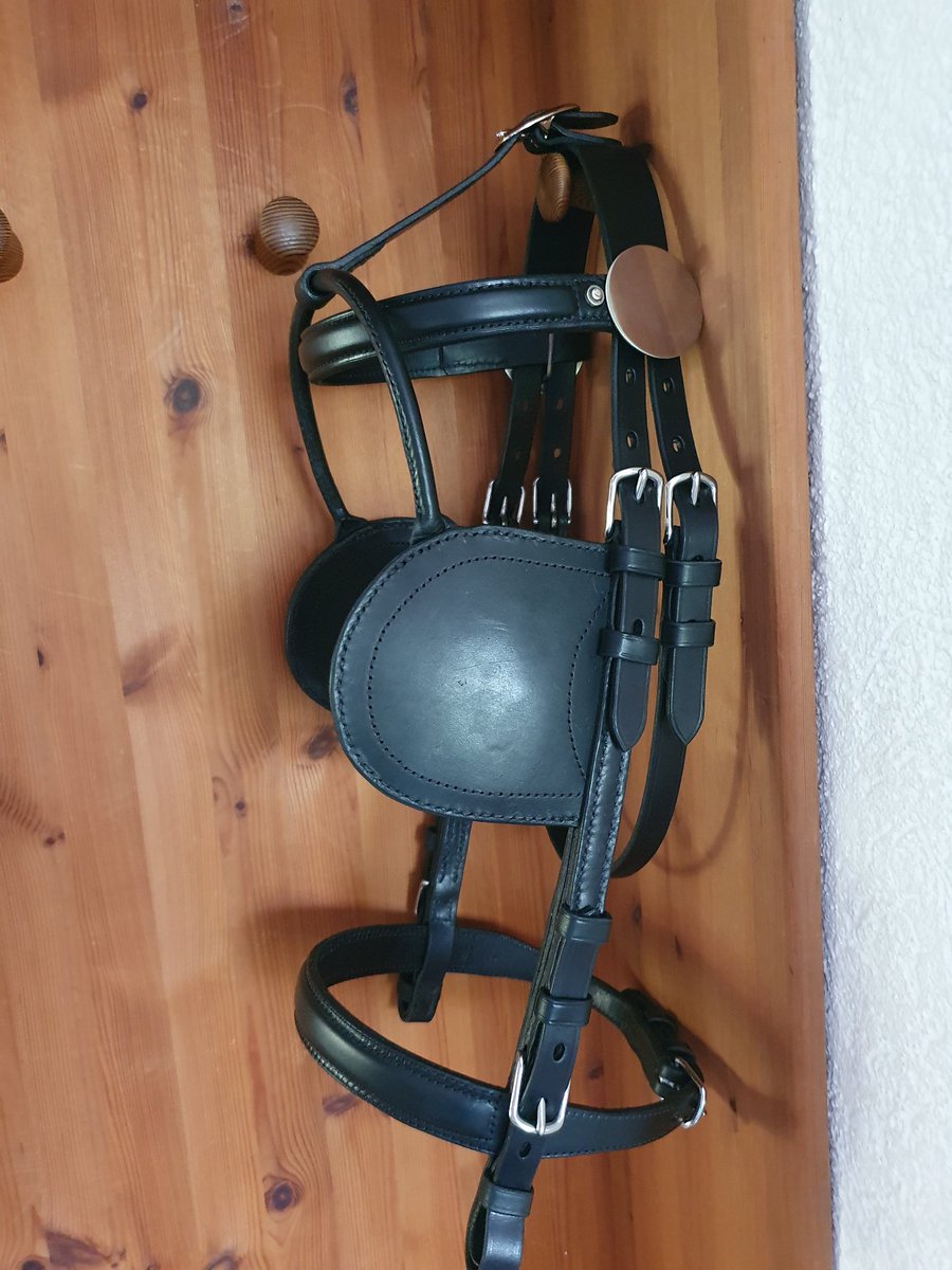 Sisgard17's tweet photo. Kopfgestelle für schweres Warmblut, Kundenwunsch
#Kopfgestell
#Sattler
#fahren
#Leder
#Pferd
#Kutsche
#Handwerk https://t.co/QuBduPb4Fk
