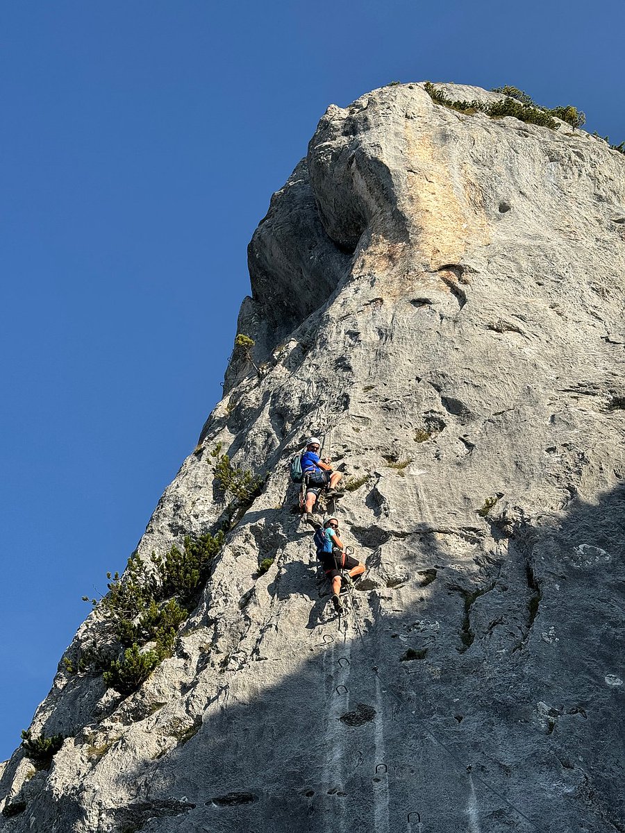 Peter Höflehner tweet media