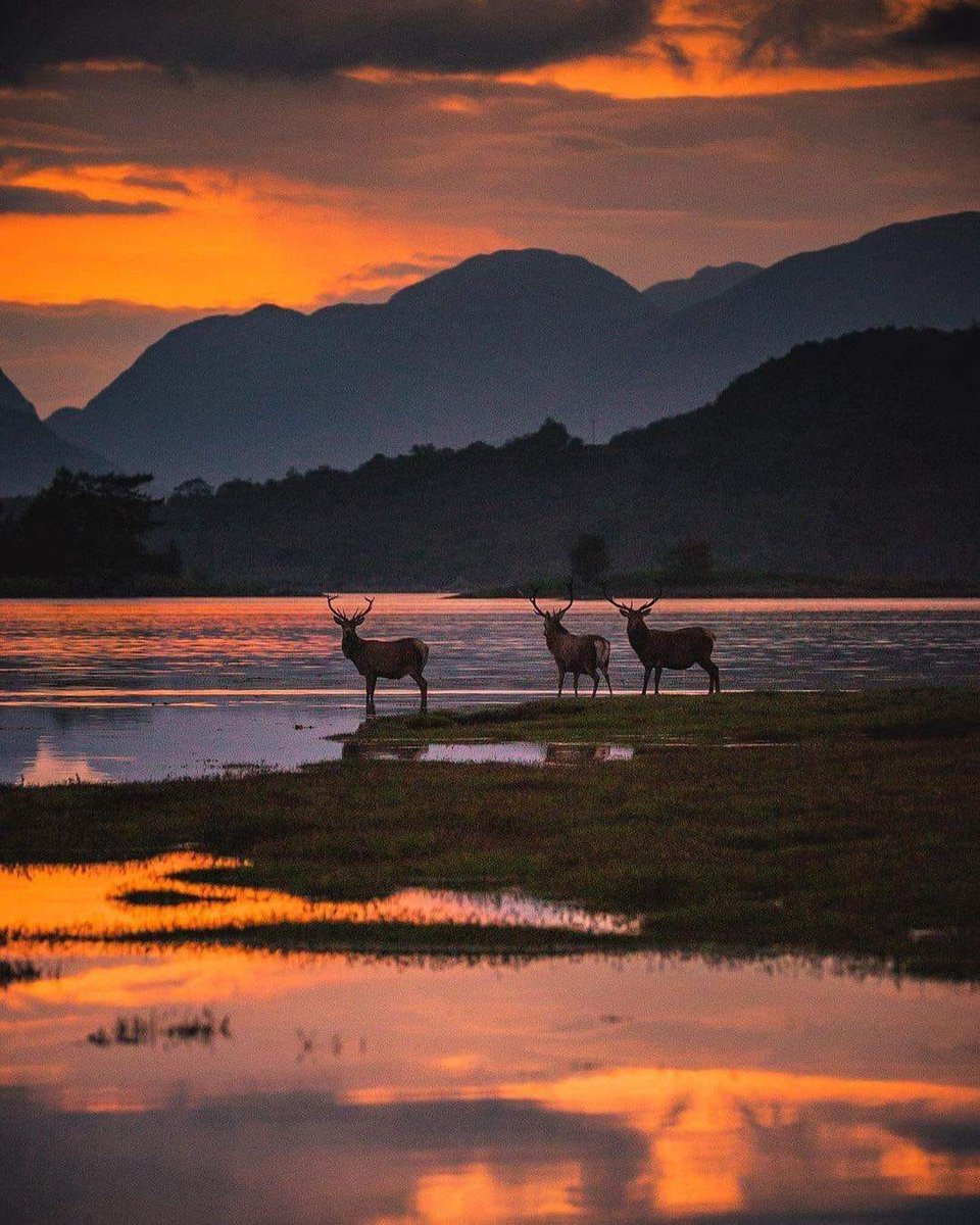 Beautiful sunset in Glencoe .🏴󠁧󠁢󠁳󠁣󠁴󠁿 c.o. @lochgmarcp via Amazing World .
