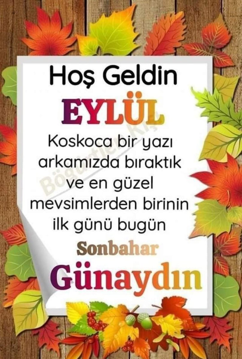 Ben her Eylül,
Biraz sen olurum,
Biraz ben,
Biraz onlar.
Hoşgeldin Eylül sevgiyle huzurla gel sağlıkla gel..!!!
     Günaydınlar
Mutlu Pazarlar.
🌼🌼🌼🌼🌼🌼🌼
#günaydın #pazar #mutlupazarlar #erkencikuş #erkencitayfa #mutlusabahlar