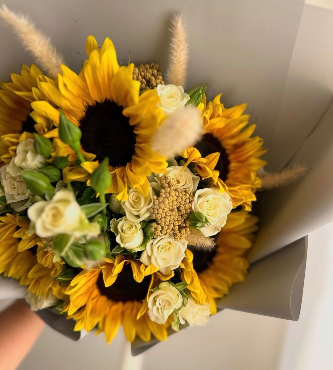 Happy September 1st🌻✨