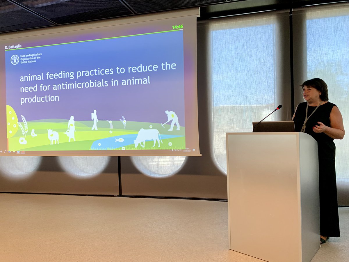 I could not miss Daniela Battaglia's <a href="/FAO/">Food and Agriculture Organization</a> presentation on feeding practices to reduce the use of antibiotics in livestock production. Your presentation was certainly one of the highlights of Session 6. Advances in ruminant nutrition at the 75th <a href="/EAAPofficial/">EAAPofficial</a> conference