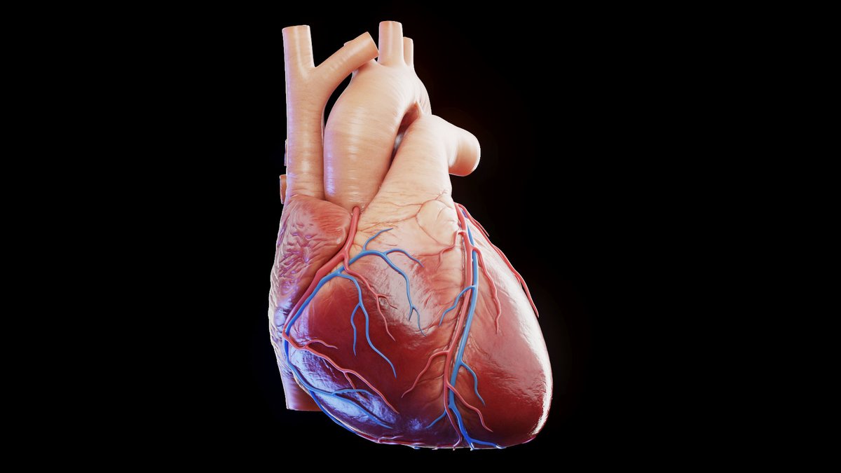 NTFabiano's tweet photo. Personality changes following heart transplantation have been reported for decades.

🧵1/14 https://t.co/gutmZBeWrR