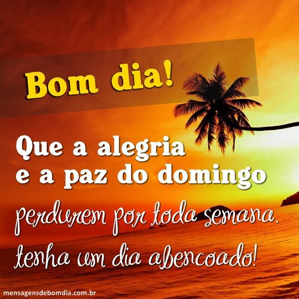 CarvAparecida's tweet photo. https://t.co/X7crFuNjQT