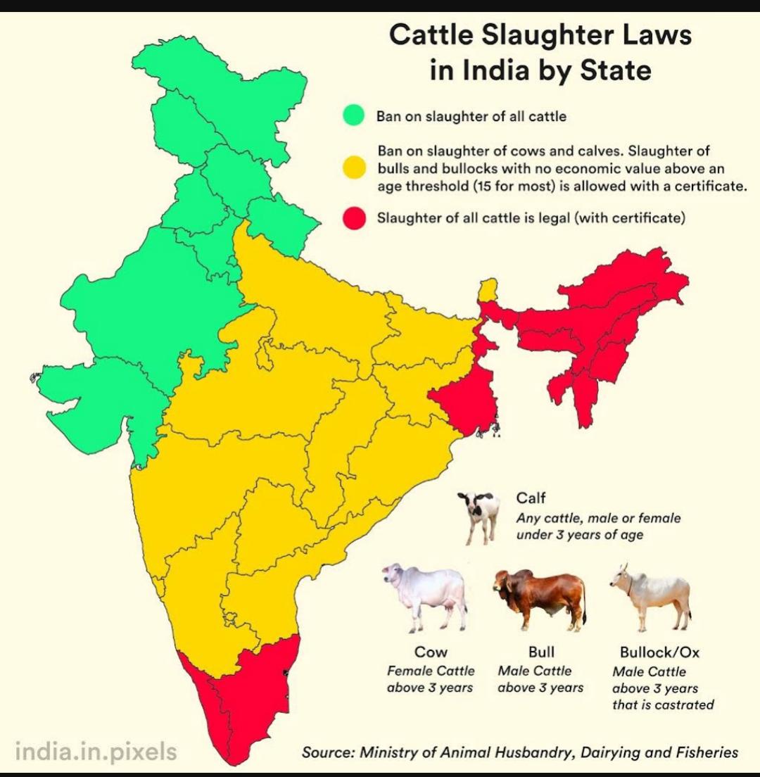 sidd_sharma01's tweet photo. Cattle Slaughter Laws in India by State: 👇
#Beef #BuffaloMeat #CattleMeat #BJPeeRuledStates #BullMeat #OxMeat