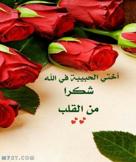 🌲علوش 🌲 tweet media