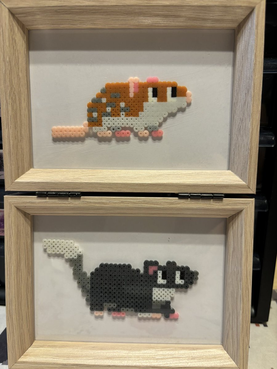 ドッター物理 tweet media