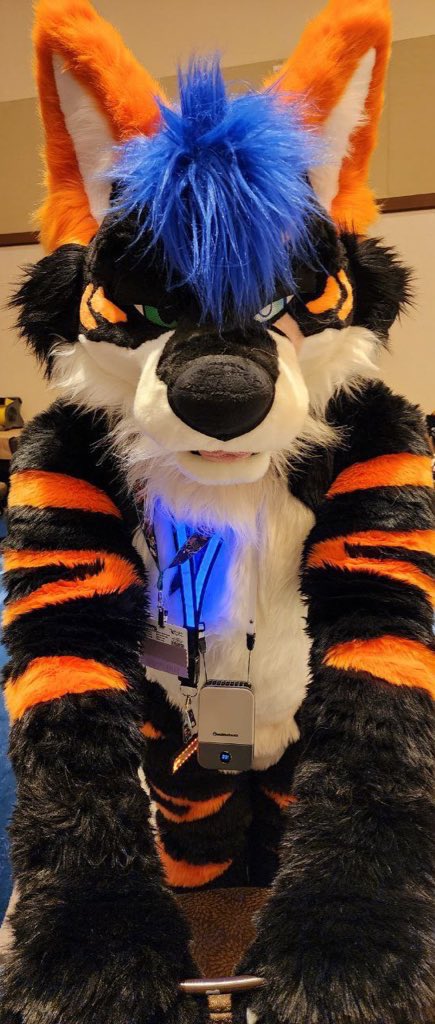 Howlie Tigerpaw the wolger at FE 🔜 FWA 🎃🌶️ tweet media