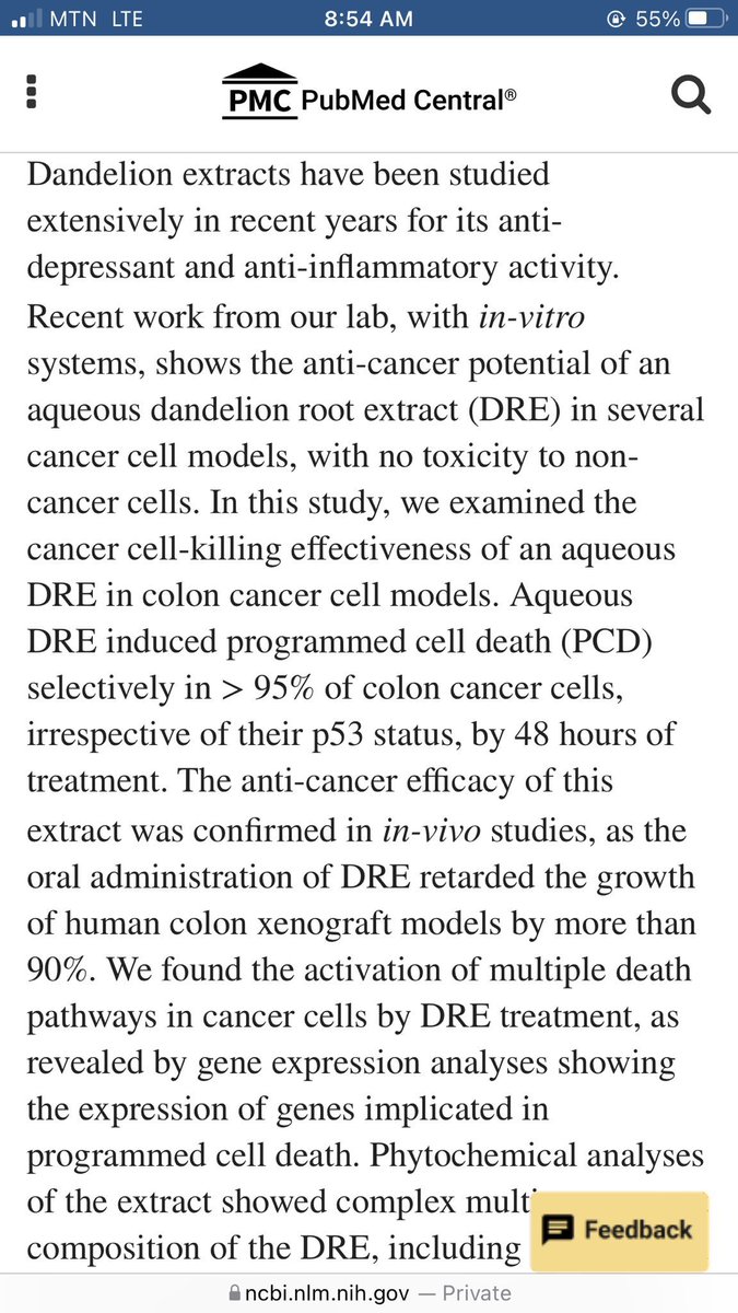 safonyameherbal's tweet image. Dear cancer  patients, 

Dandelion has been demonstrated to destroy about 98% of cancer cells due to the presence of bioactive compound called taraxasterol.

How to prepare 
Boil the fresh root of dandelion for 10mins and drink 60mls 3 times daily🍀

Every home needs dandelion❤️