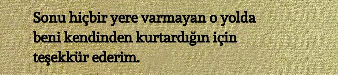 sᴇɴsɪᴢ ʜᴀᴛıʀᴀ (@sensizhatiram) on Twitter photo 