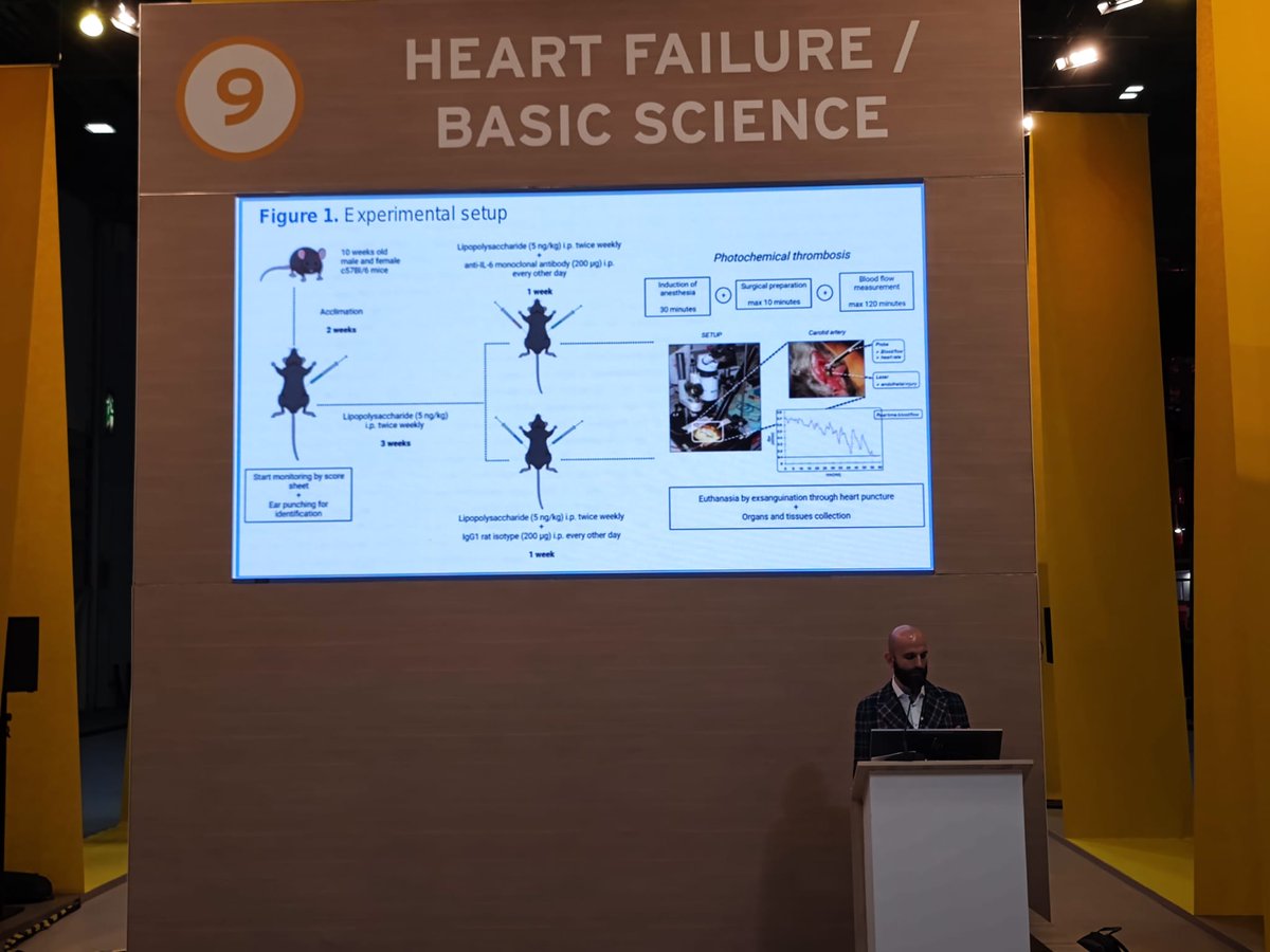 Carolina Balbi (@c_balbi90) on Twitter photo <a href="/Ste_MNS/">Ste_MNS</a> from <a href="/cmc_uzh/">Center for Molecular Cardiology</a> presenting his data on IL-6 inhibition and arterial thrombosis 💪 chaired by <a href="/fabri_bon87/">Fabrizia Bonacina</a>
#ESCCongress #ESCBasicScience
<a href="/liberale_luca/">Luca Liberale</a> <a href="/CarolRemme/">Carol Ann Remme</a> <a href="/roderick_cardio/">LLEW RODERICK</a> <a href="/Ste_MNS/">Ste_MNS</a> from <a href="/cmc_uzh/">Center for Molecular Cardiology</a> presenting his data on IL-6 inhibition and arterial thrombosis 💪 chaired by <a href="/fabri_bon87/">Fabrizia Bonacina</a>
#ESCCongress #ESCBasicScience
<a href="/liberale_luca/">Luca Liberale</a> <a href="/CarolRemme/">Carol Ann Remme</a> <a href="/roderick_cardio/">LLEW RODERICK</a>