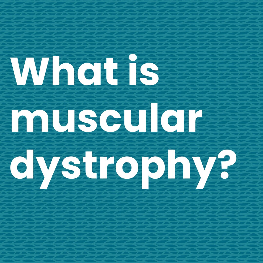 Muscles. We use them to move. Walk, eat, smile, cry. Pump blood around our bodies.  To breathe in and out. Our muscles matter. 

This #WorldMuscularDystrophyMonth, we’re excited to unveil our new resource on our website: loom.ly/jcnC8EI