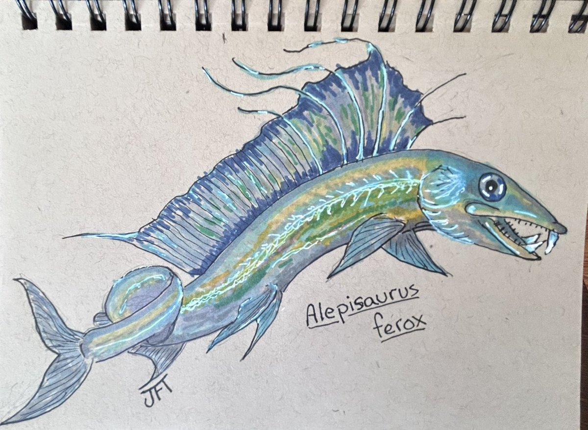 It’s a crossover event for #SundayFishSketch and #SciArtSeptember. Today’s prompt is “fang”. Here’s my rendition of a toothy Lancetfish.