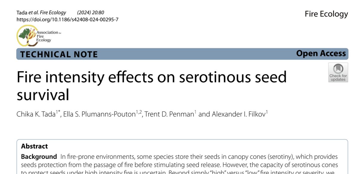 New paper led by Chika Tada (her 1st! 👏). She barbecued seeds stored in canopy cones, to see how different combinations of hot, cool, and/or long fire affected their survival. We found these seeds are very tolerant to fire but not to hot + long fire.

fireecology.springeropen.com/articles/10.11…