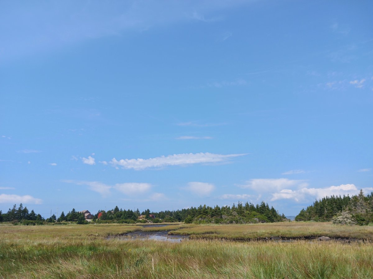 ImagesCoast's tweet image. A chemtrail that looks like a cloud over Nova Scotia, Canada  August 2024

#chemtrails #GeoEngineering #weathercontrol #clouds #WW3