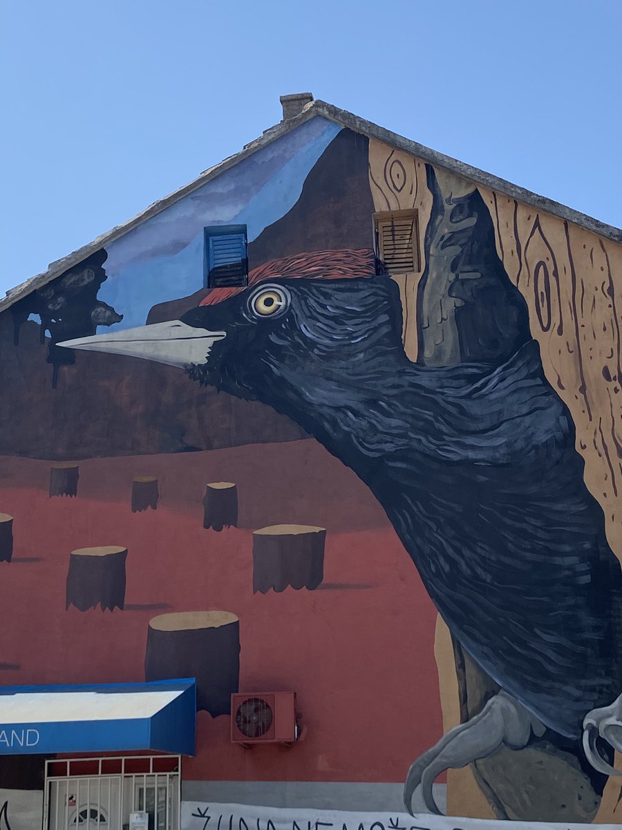 Iván Ramírez tweet media