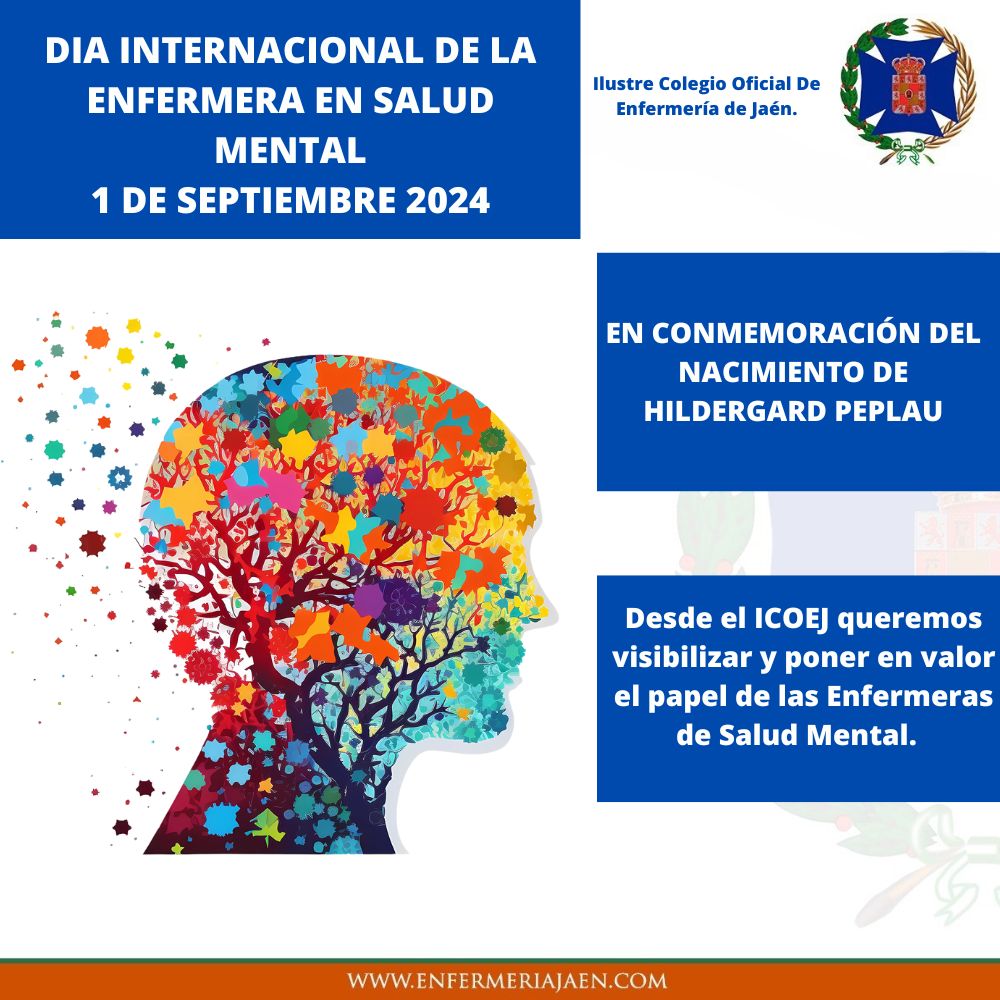 Colegio Enfermería tweet media